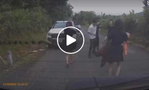 Vi:deo toàn cảnh sự việc