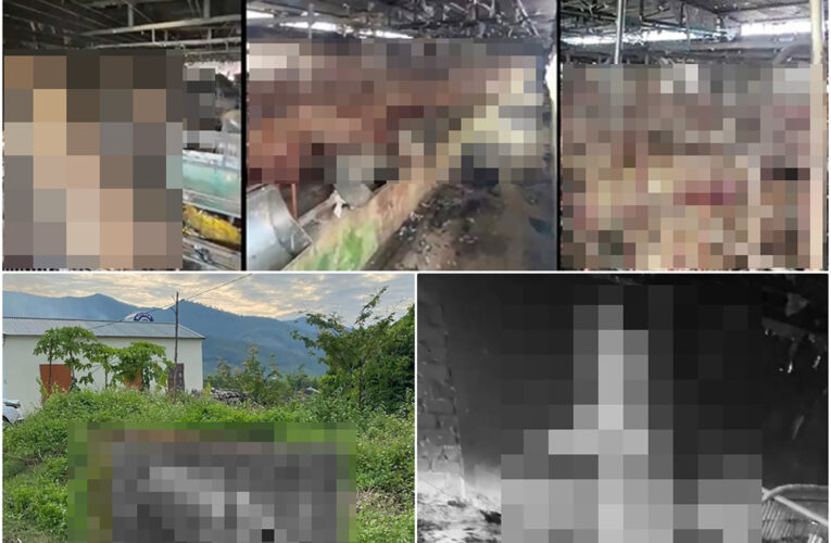 Ảnh 0che: Toàn cảnh hiện trường trại lợn bị cha’y tại Bình Khê, Quảng Ninh