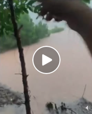 Vi:deo toàn cảnh sự việc