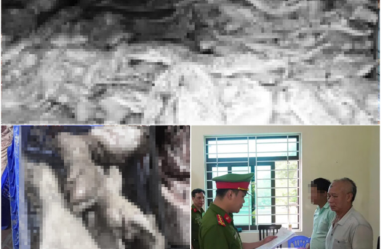 Bă’t tạm giam chủ cơ sở ở xã Vĩnh Hưng trữ gần 38 tấn th.ịt lợn nhi.ễm dịch tả để bán kiê’m lơ`i