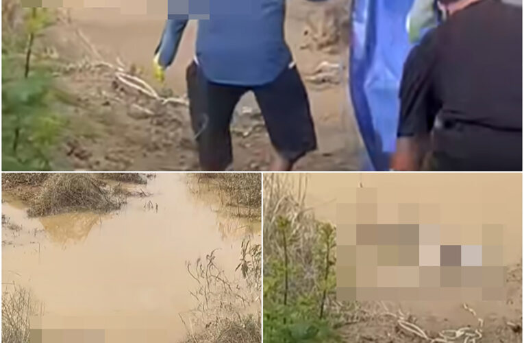 Vi:deo toàn cảnh sự việc