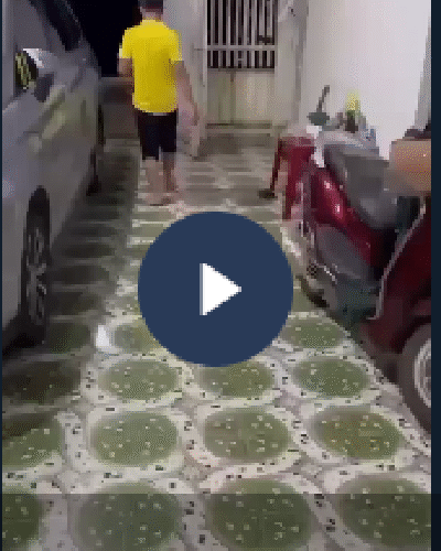 Vi:deo toàn cảnh sự việc