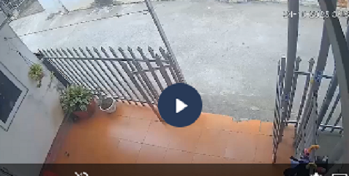 VI:DEO toàn cảnh sự việc