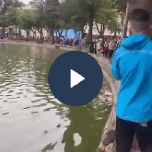 Vi:deo toàn cảnh sự việc thương tâm