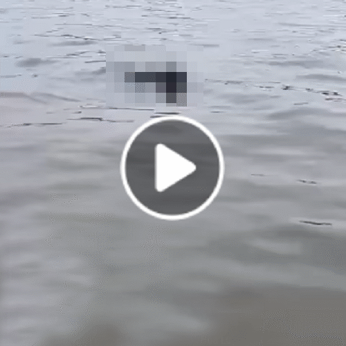 Vi:deo toàn cảnh sự việc