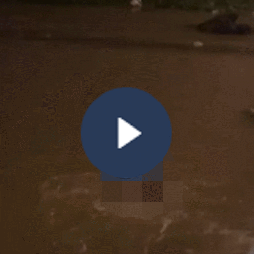 Vi:deo toàn cảnh sự việc