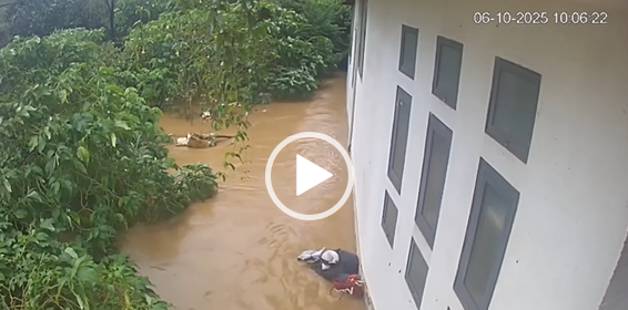 Vi:deo toàn cảnh sự việc