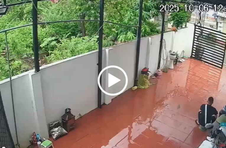 Vi:deo toàn cảnh sự việc