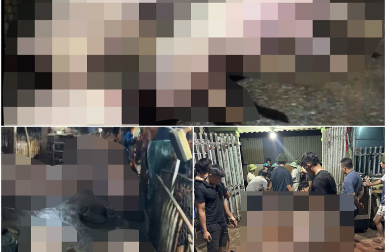 Vi:deo toàn cảnh tại trang trại