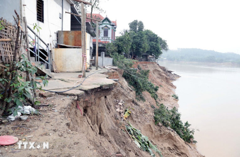 Phú Thọ: Sạt lở nghiêm trọng ven sông Lô đe dọa hàng chục hộ dân