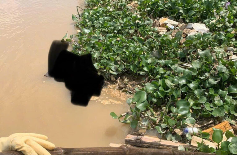 Ảnh 0che: Toàn cảnh hiện trường sự việc