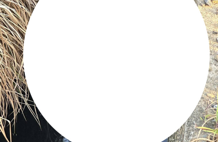 ẢNH KHONGCHE: Toàn cảnh hiện trường vụ việc