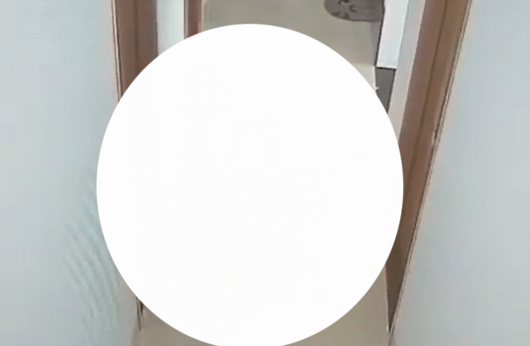 VI:DEO 0CHE: Toàn cảnh sự việc