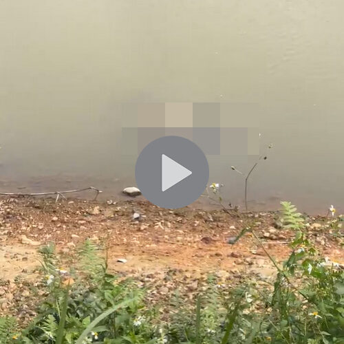 VI:DEO 0CHE: Toàn cảnh hiện trường sự việc thươg tâm