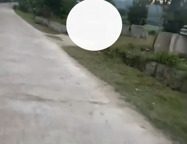 Vi:deo 0che: Cân nhắc khi xem