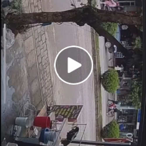 VID:EO KCHE: Toàn cảnh sự việc