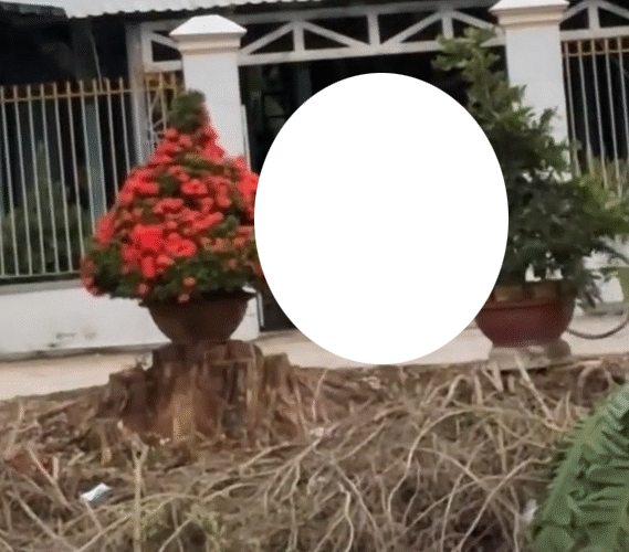 Vi:deo 0chE: Toàn cảnh sự việc