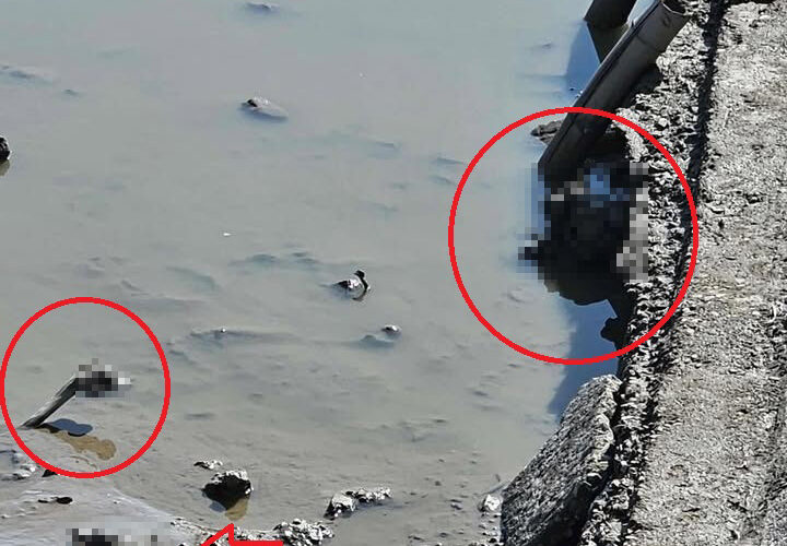 Ảnh 0che: Yếu tym không nên xem