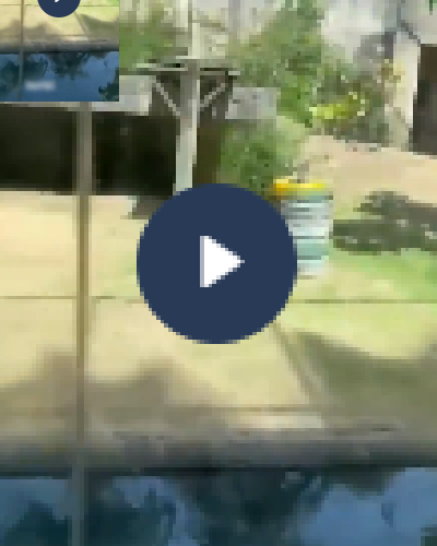 VI:DEO 0CHE: Yê’u tym đừng nên xem