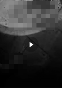 VI:DEO 0CHE: Yê’u tym đừng xem