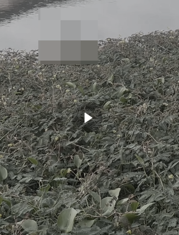 VI:DEO 0CHE: Cân nhắc trước khi xem