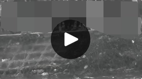 VI:DEO 0CHE: Cân nhắc khi xem