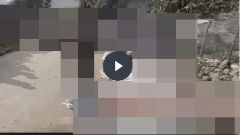 VI:DEO 0CHE: Cân nhắc khi xem