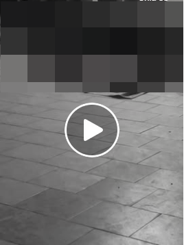 VI:DEO 0CHE: Cân nhắc khi xem