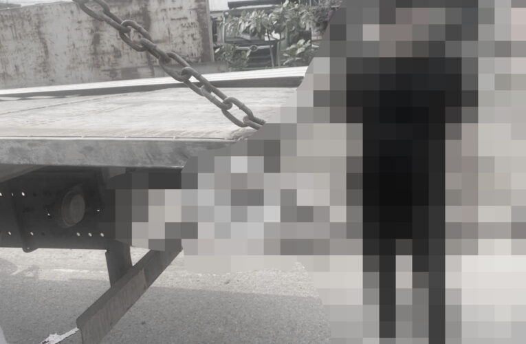 ẢNH 0CHE: Cân nhắc khi xem