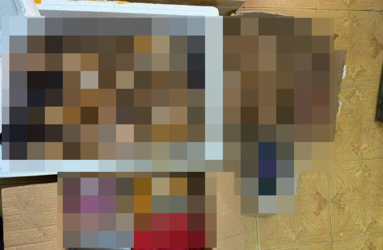 Phú Thọ: Bă’t giữ đối tượng sản xuất gần 30kg pha’o n:ổ trái phép