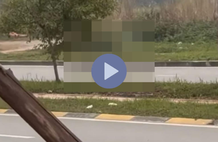 Vi:deo toàn cảnh sự việc