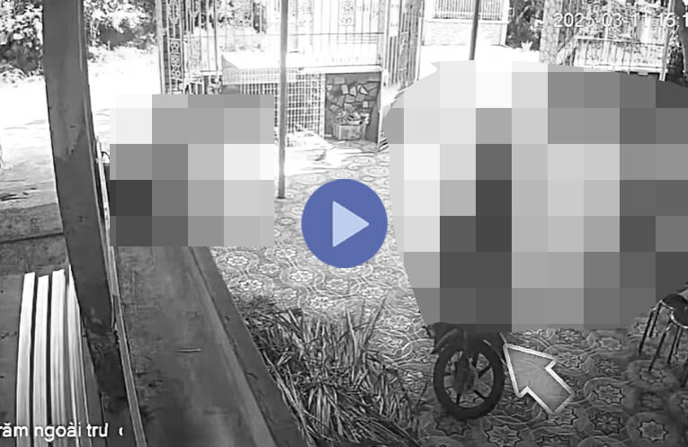 VI:DEO 0CHE: Cân nhắc khi xem