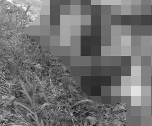 ẢNH 0CHE: Yê’u tym đừg xem