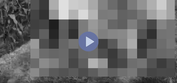 VI:DEO 0CHE: Cân nhắc khi xem