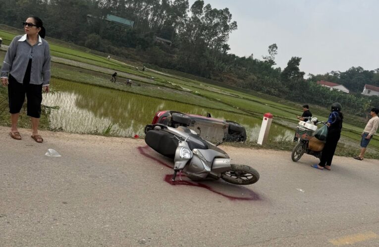 TOÀN CẢNH HIỆN TRƯỜNG