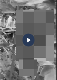 VI:DEO 0CHE: Cân nhắc khi xem