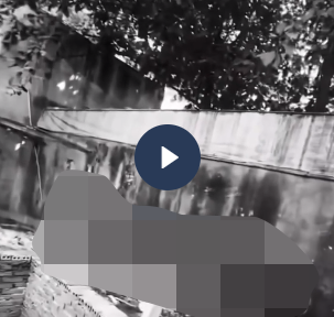 VI:DEO 0CHE: Cân nhắc khi xem