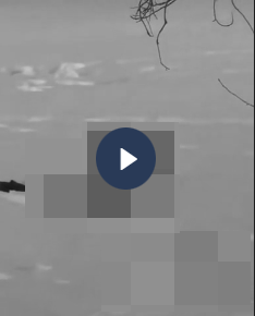 VI:DEO 0CHE: Cân nhắc khi xem