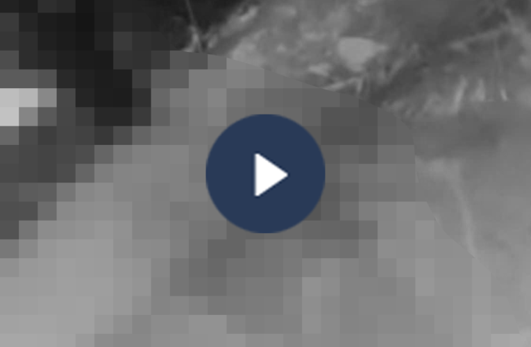 VI:DE0 0CHE: Cân nhắc khi xem