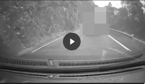 VI:DEO 0CHE: Cân nhắc khi xem