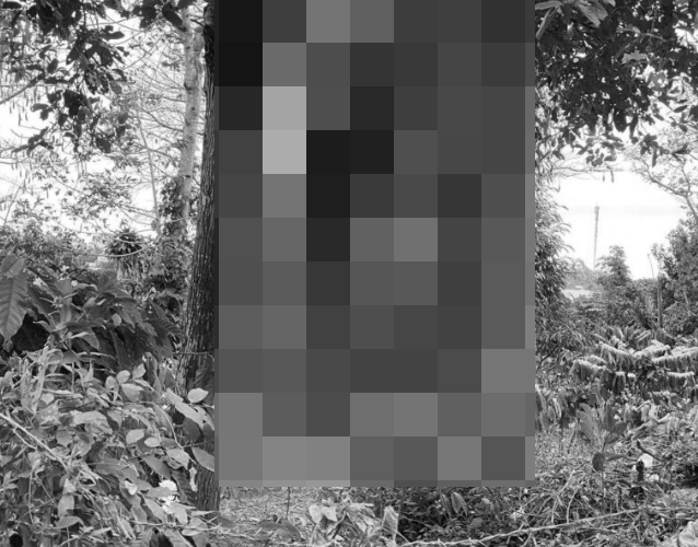 ẢNH 0CHE: Cân nhắc khi xem