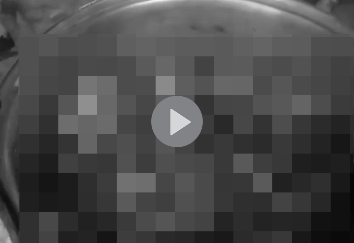 VI:DEO 0CHE: Cân nhắc khi xem