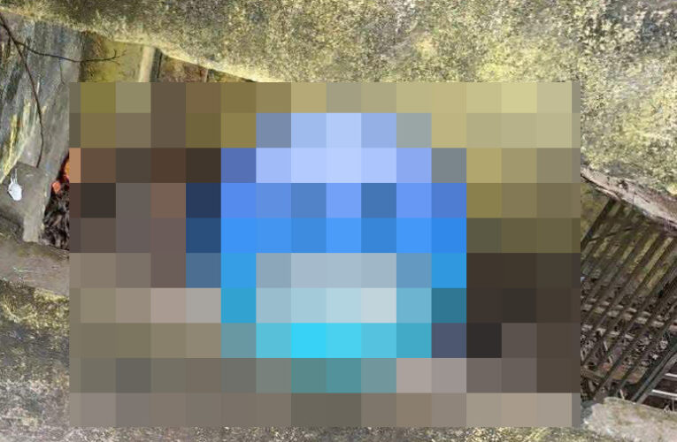 TOÀN CẢNH HIỆN TRƯỜNG