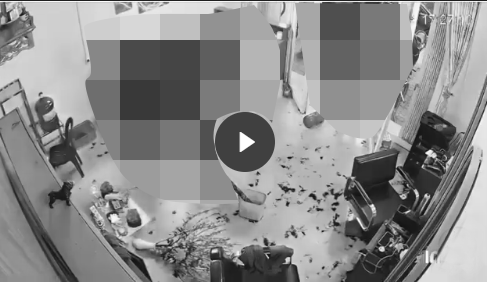 VI:DEO 0CHE: Cân nhắc khi xem