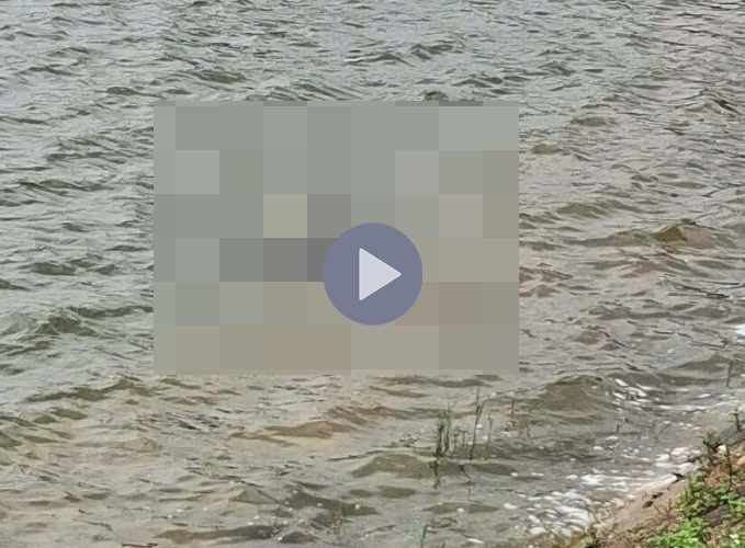 VI:DEO 0CHE: Cân nhắc khi xem