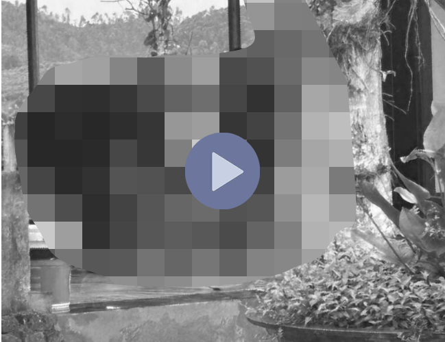 VI:DEO 0CHE: Cân nhắc khi xem