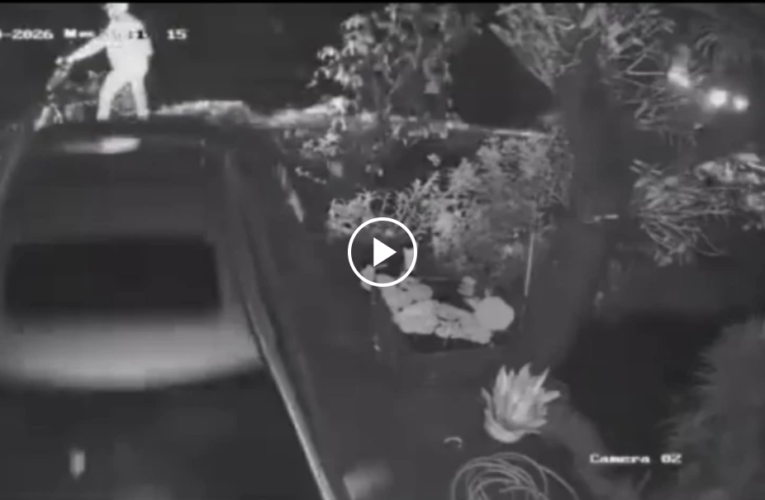 VIDEO TOÀN CẢNH SỰ VIỆC