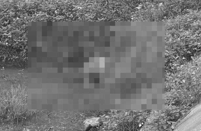 ẢNH 0CHE: Cân nhắc khi xem