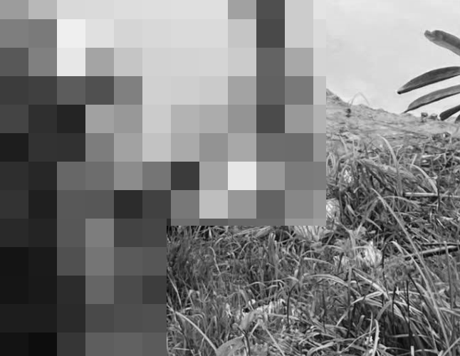 ẢNH 0CHE: Cân nhắc khi xem