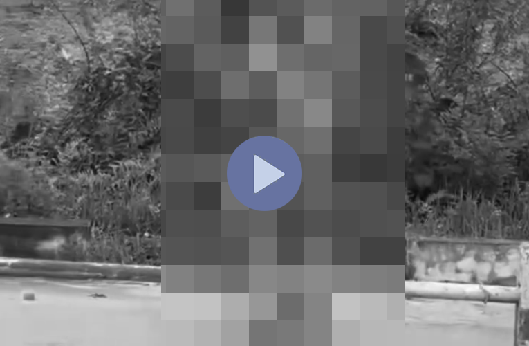 VI:DEO 0CHE: Cân nhắc khi xem